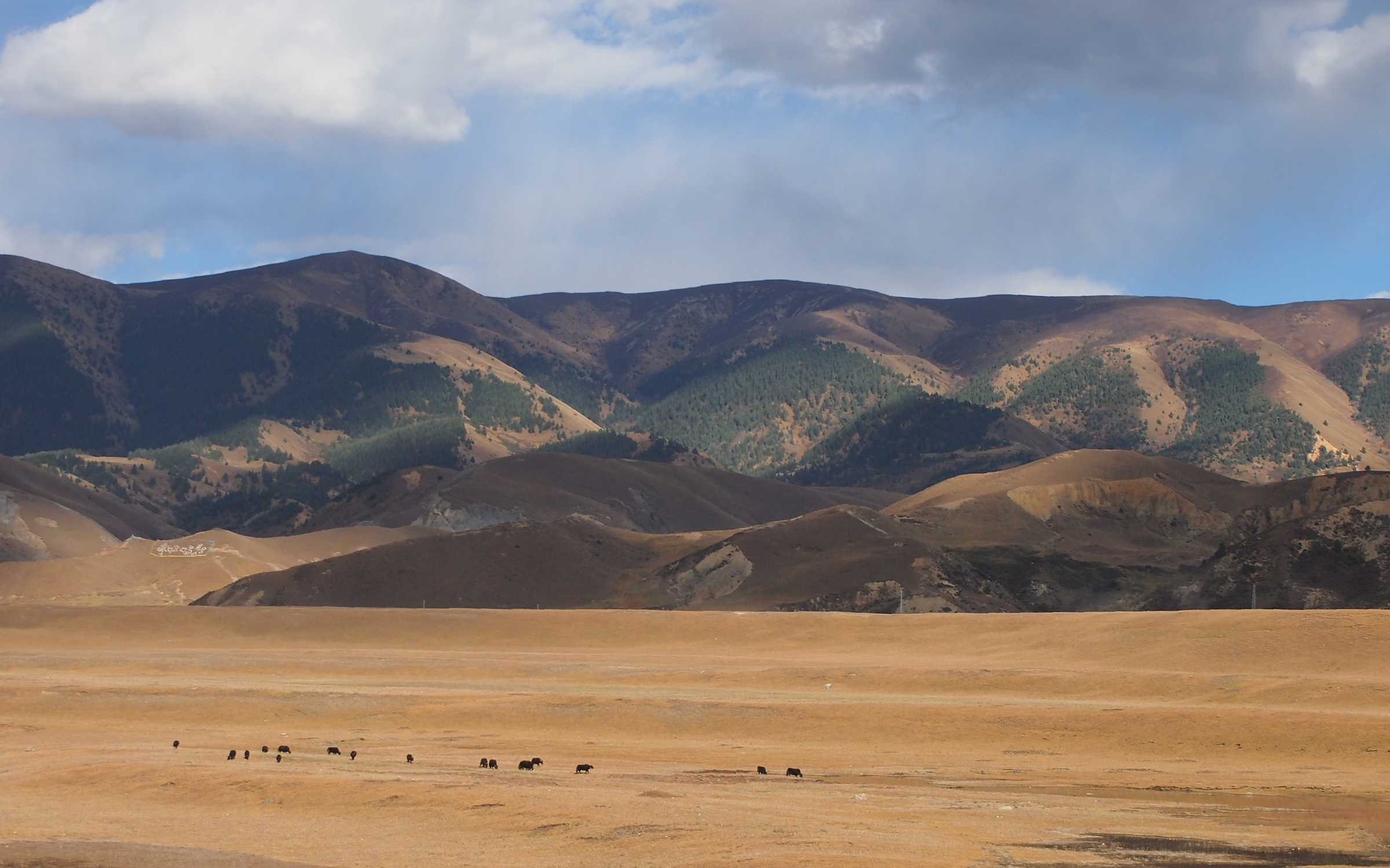 Maoya grasslands