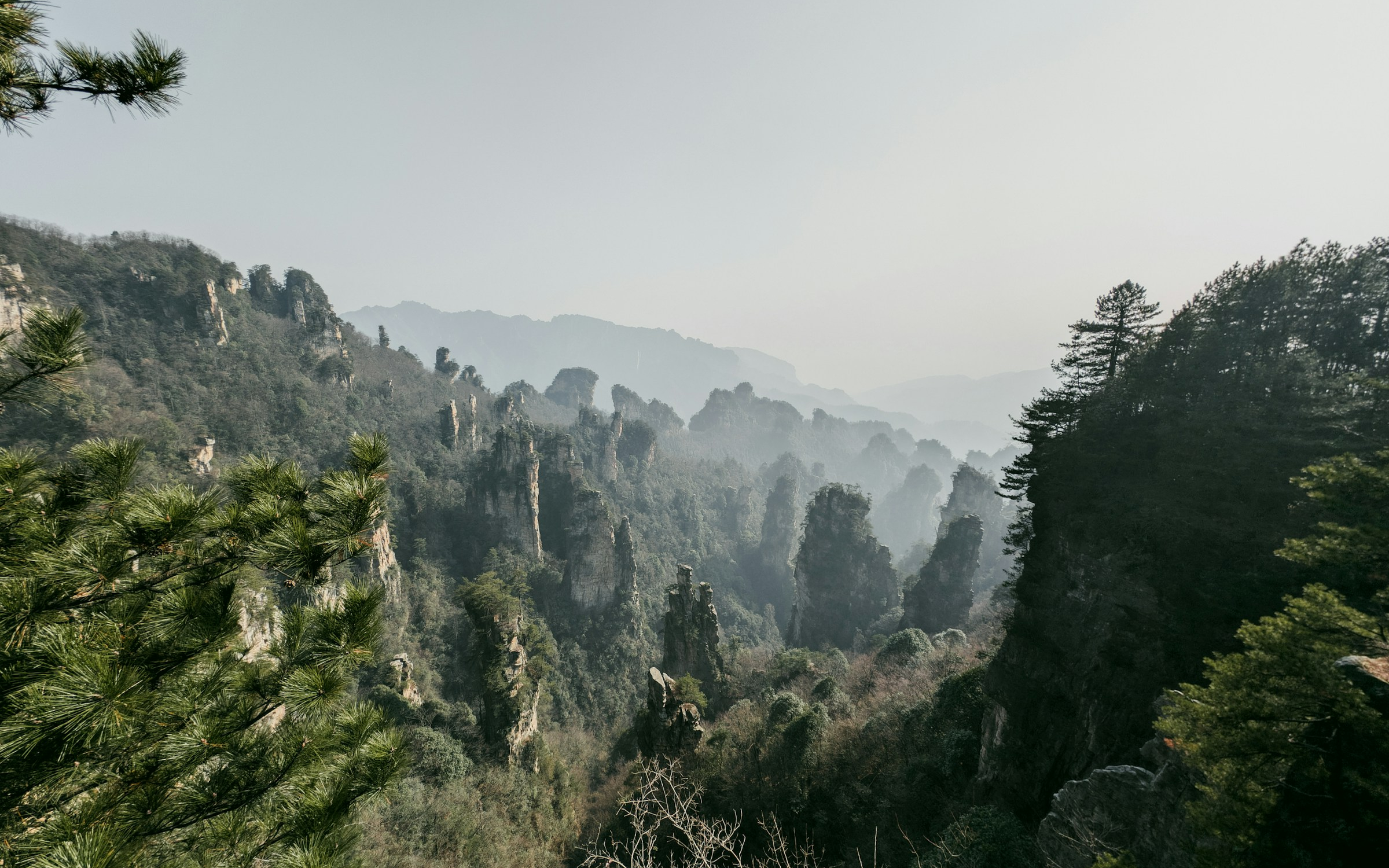 Tianzi Mountain