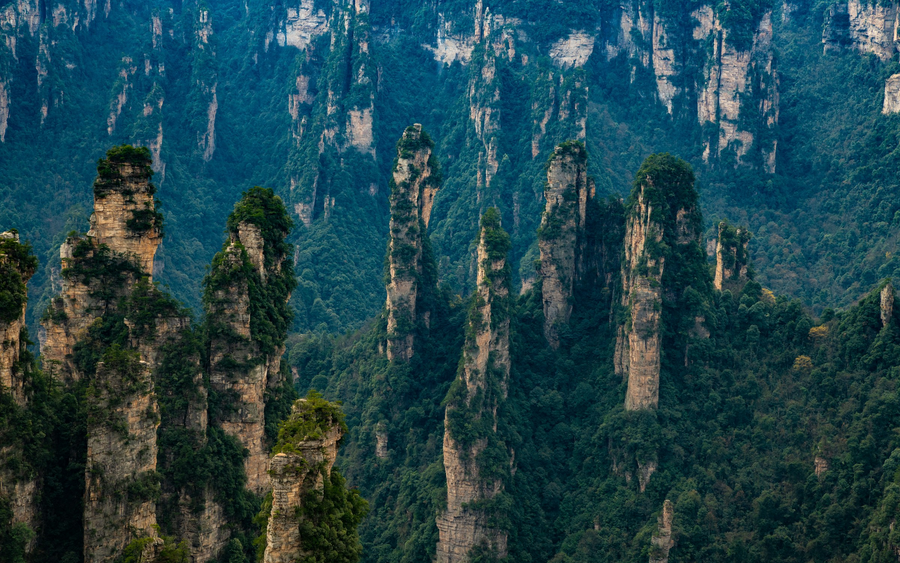Sandstone peaks in Zhangjiajie